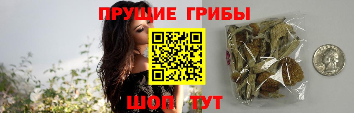 Псилоцибиновые грибы ЛСД Нижневартовск